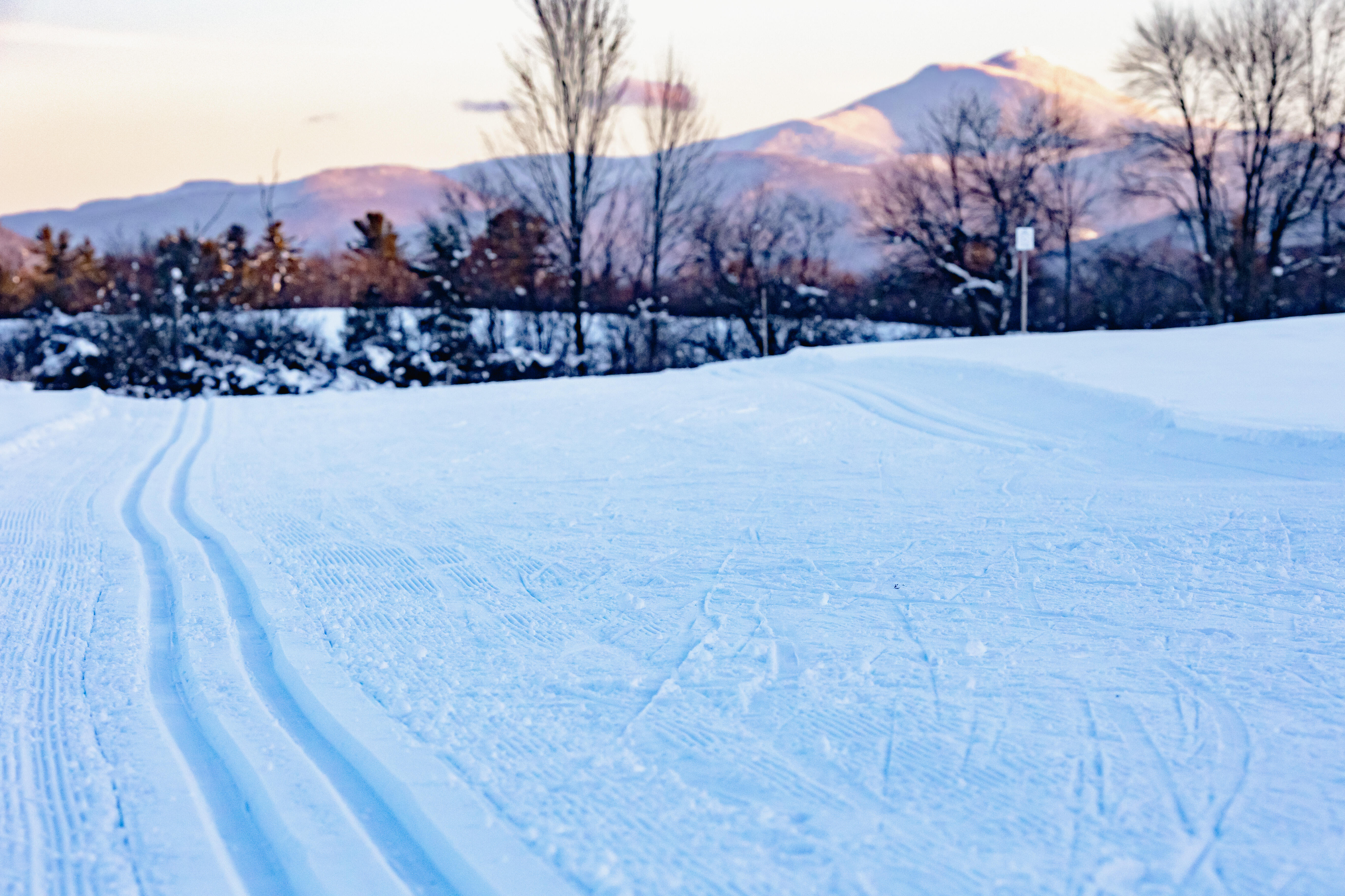 Cross Country Skiing in Vermont Cover