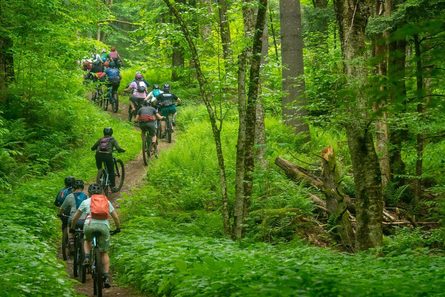 Mountain Biking at Vermont Ski Areas Cover